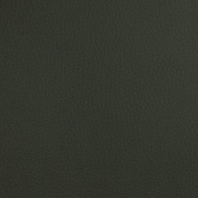 Simili cuir Dolce moss Spradling