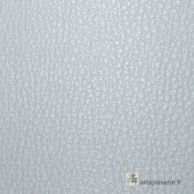 Simili cuir Bingo foca Didier Dassonville