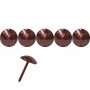 1000 clous tapissier topaze Ø9,5 mm