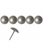 250 Clous tapissier Aluminium Brossé Lentille Fer 16 mm