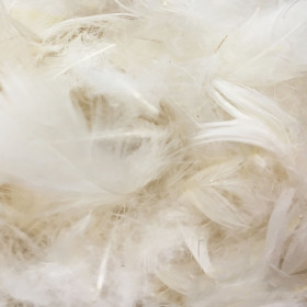 Rembourrage plume de canard duveteuse Drouault N°240 1kg