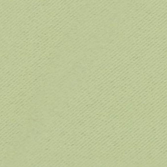 Tissu obscurcissant boréal cactus Sotexpro M1 290 cm