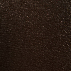 Simili cuir Bingo africa Didier Dassonville