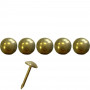 1000 clous tapissier laitonné Ø6,5 mm