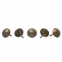 200 clous tapissier bronze vieilli moyen Ø11mm
