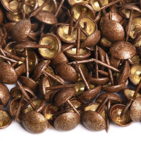 1000 clous tapissier ton foncé Ø11 mm