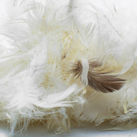 Rembourrage plume de canard et d'oie mélangées Drouault N°54 1kg