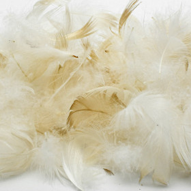 Rembourrage plumettes et duvet de canard blanc gonflant Drouault N°223 1 Kg