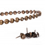 Bande de clous tapissier Lentille Fer Bronze vieilli 9,5 mm + 20 clous