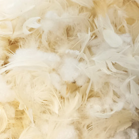 Rembourrage plume de canard & ouate polyester 50/50 - 1kg