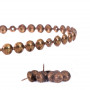 Bande de clous tapissier Lentille Fer Bronze Vieilli 11 mm + 18 clous