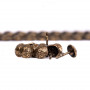 10 Clous pour bande de clous tapissier Lentille Fer Or vieilli martelé 9,5 mm