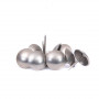 10 Clous pour bande de clous tapissier Lentille Fer Aluminium brossé 16 mm