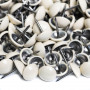 1000 clous tapissier prestige ivoire Ø11 mm
