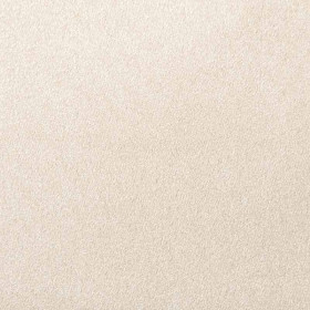 Tissu suédine double face Arès beige clair taupe Didier Dassonville