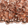 1000 Clous tapissier Cuivré Lentille Fer 11 mm