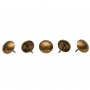 1000 Clous tapissier Or vieilli Lentille fer 16 mm