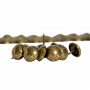10 Clous pour bande de clous tapissier Perle Fer Or vieilli 11 mm