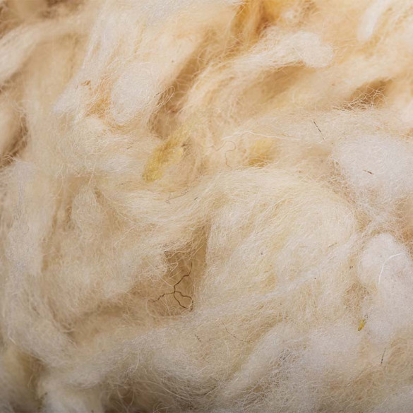 Laine de mouton en vrac - 1kg