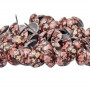 50 clous tapissier peint perle fer 16 mm n°13