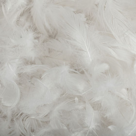 Rembourrage plume de canard blanche 1kg