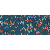 Collection Chrysalide de Casal